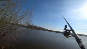 МАНКА с чесноком или МАСТЫРКА?! Рыбалка на поплавок. Ловля карася