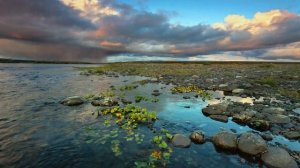 О молитва, о молитва, жизни Богом ты дана