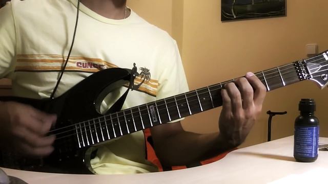 Nirvana - In Bloom (Guitar Cover) HD/HQ смотреть онлайн