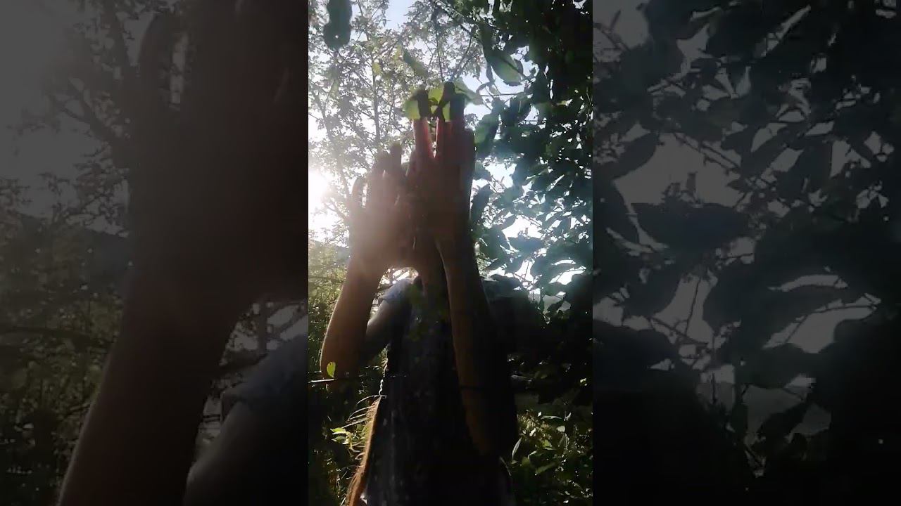 Кто-то: почему трек заблокировали? Также перевод: Здрасте #dance #лето #2024 #love смотреть онлайн