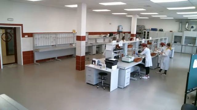 Лабораторно-химический анализ, камера 2 день 3 часть 2 смотреть онлайн