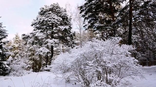 Снежные узоры Николая Деева смотреть онлайн