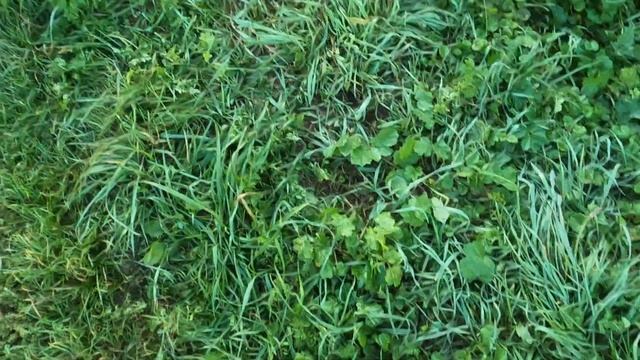 Как БЕЗ ПРОМАХА стрелять на охоте? 16 СОВЕТОВ точной стрельбы на охоте