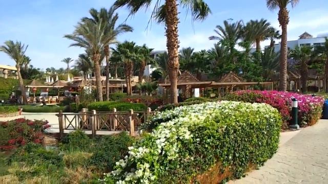 Отель SAVOY. Дискотека в SAVOY. Шарм -эль -Шейх 04 2013 г смотреть онлайн