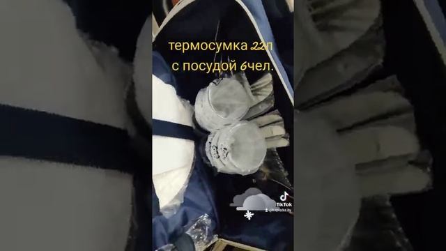 СУМКА-ХОЛОДИЛЬНИК С НАБОРОМ ПОСУДЫ (6 ЧЕЛ) смотреть онлайн