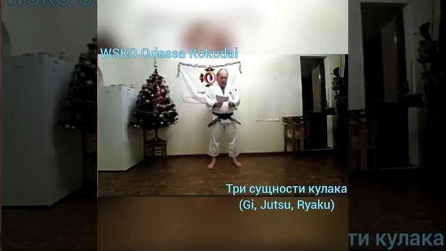 Три сущности кулака (Gi, Jutsu, Ryaku)