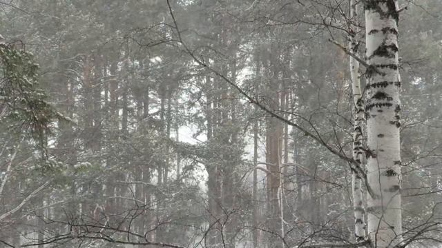 Программист смотреть онлайн