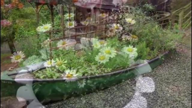 Клумбы из подручных материалов. 100 идей для красивой дачи смотреть онлайн