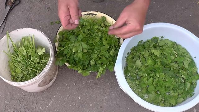 Уборка без стресса и напряжения