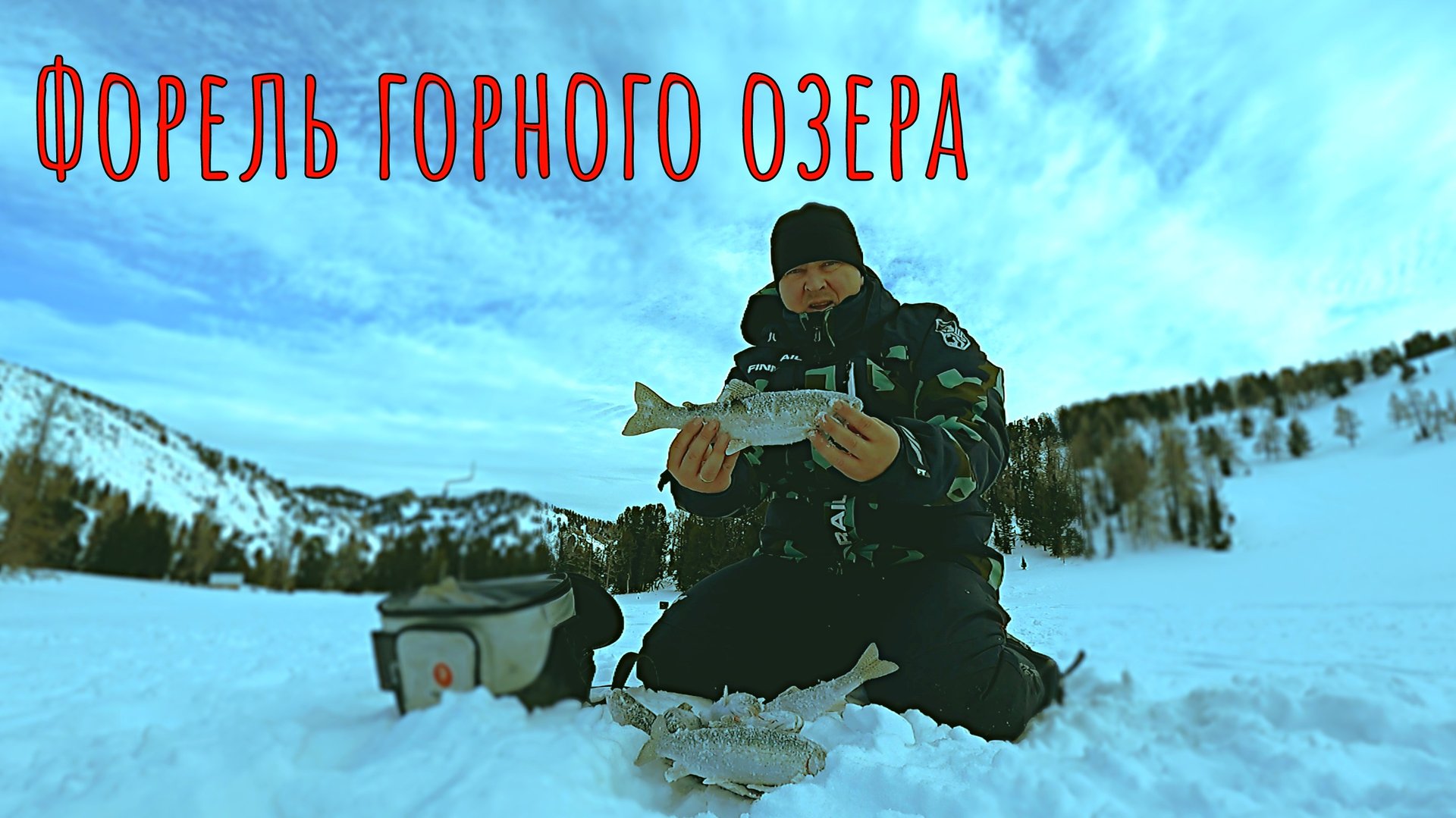 Дикая форель на АЛТАЕ вырывает удочки из рук/Ловля форели со льда #1 смотреть онлайн