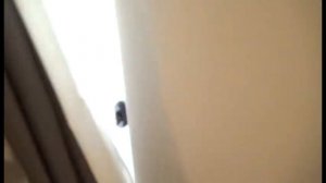 Обзор номера отеля Sunmelia Beach Resort Hotel & SPA 5*