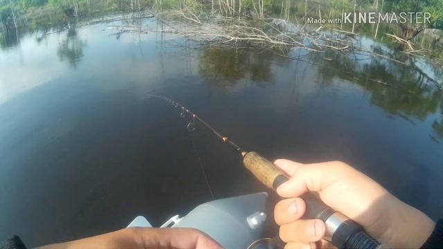 Рыбалка на Нижне бурейском водохранилище. Рыбалка на щуку на НБВХ. смотреть онлайн