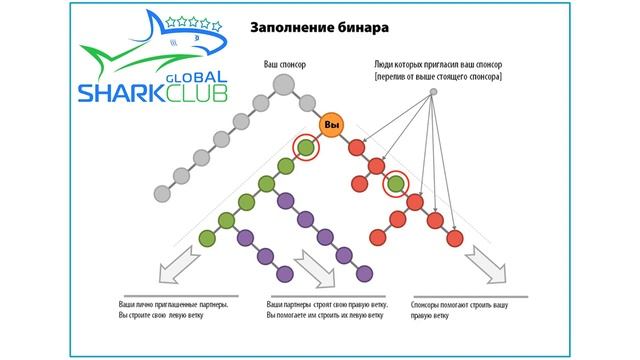 Как работает бинарный маркетинг смотреть онлайн