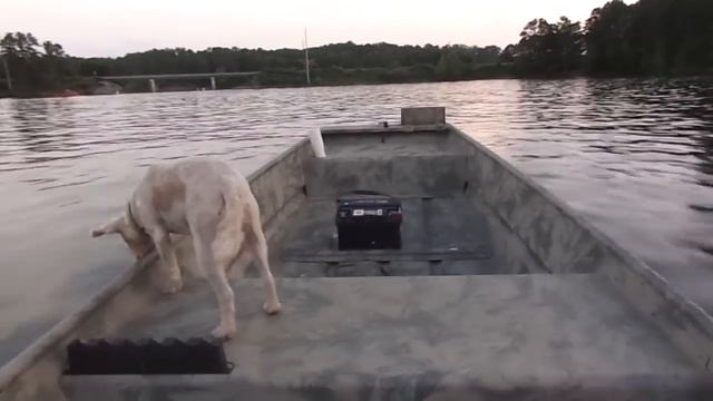 Yamaha 6 HP on 1436 aluminum Jon boat смотреть онлайн