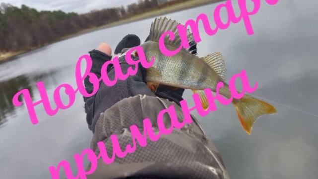 Самоделка.Одноухая мормышка,наноджигриг. На канале. смотреть онлайн