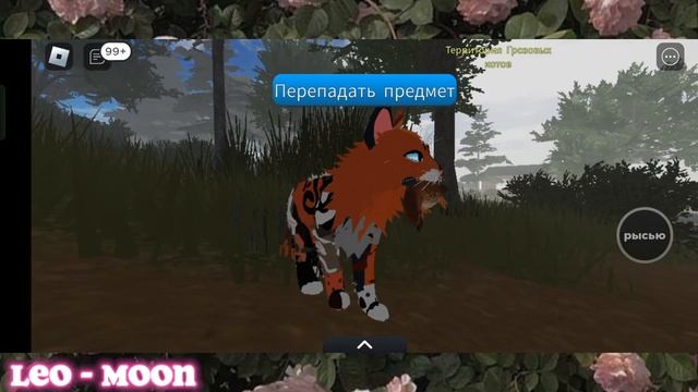 |LEO - MOON| ?КАК ПОЙМАТЬ ДИЧЬ в Warrior Cats Ultimate Edition - Roblox? смотреть онлайн