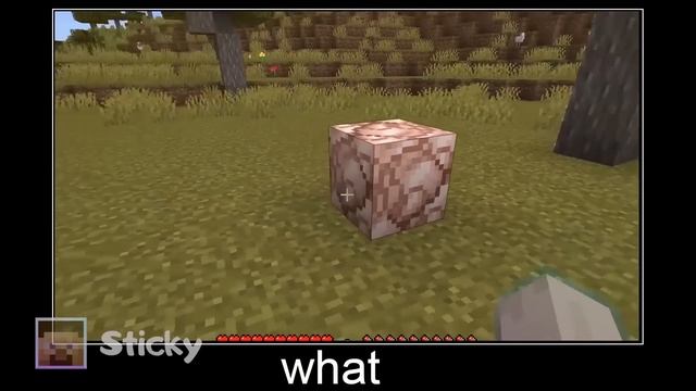 Minecraft wait what meme part 278 realistic minecraft Dog and Cat смотреть онлайн