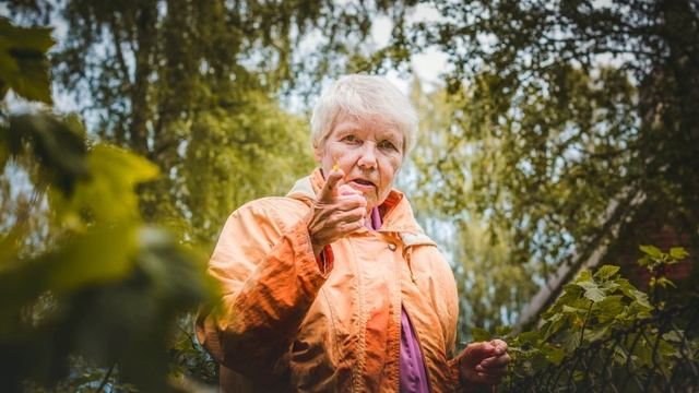 Как заставить соседей убрать кусты малины вдоль забора с моего участка? смотреть онлайн