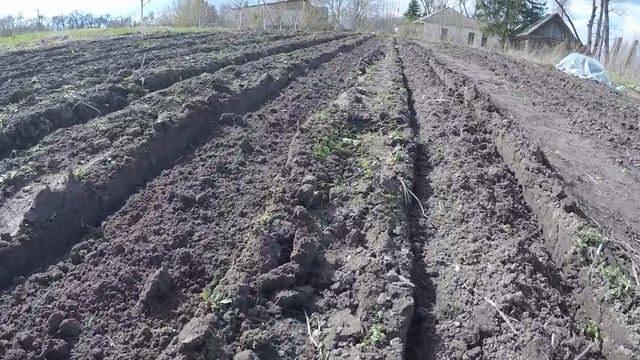 Лоплош / Разработка грядок / Культивации целины смотреть онлайн