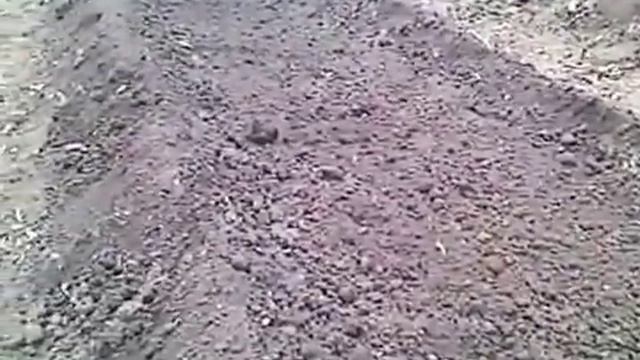 Сад и огород Тепличное хозяйство Подготовка грядок в теплице для посадки огурца смотреть онлайн