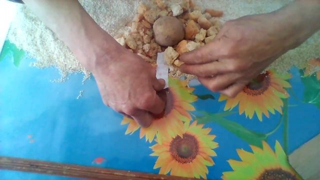 как правильно выращивать картошку чистая правда. смотреть онлайн