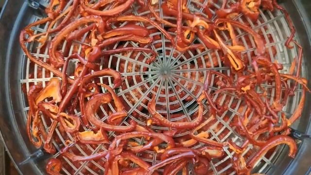 Сушим помидоры и сладкий перец на зиму