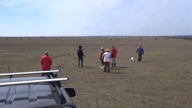 1037 (161) АС Жасмин Дупляков В.А. - АП Эрик Стафёров И. смотреть онлайн