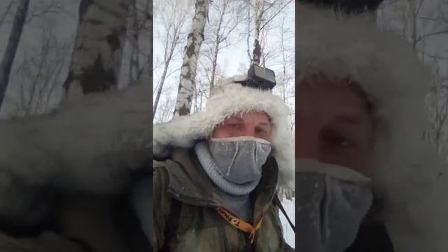 Охота на куницу, Русско Европейской Лайкой, - 26 смотреть онлайн