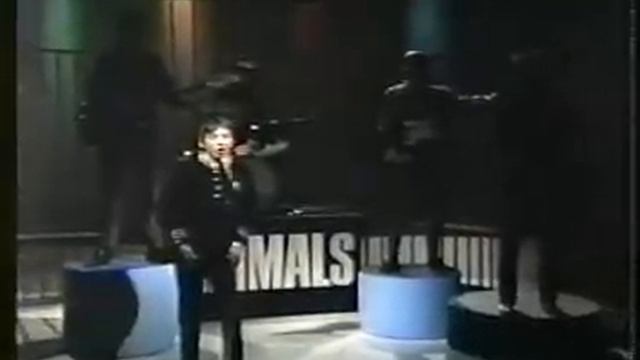 Eric Burdon & New Animals смотреть онлайн