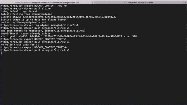 Docker Content Trust | Docker Getting Started | Lesson 016 смотреть онлайн