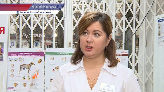Около 1 500 животных принял первый ветеринарный кабинет Нижегородской области за год смотреть онлайн