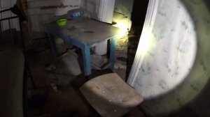 Мутанты Чернобыля напали в заброшенном селе. Ночь в заброшенном доме в Зоне Отчуждения