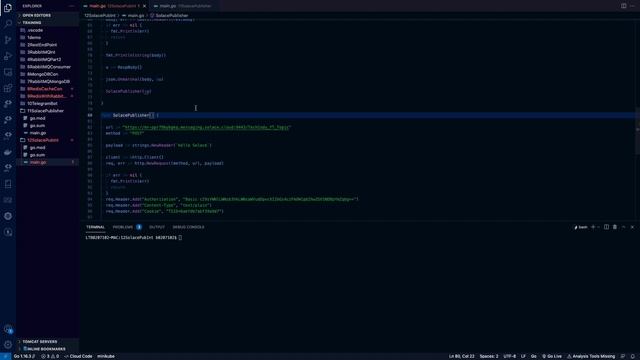 Golang Code - Publisher with REST API Integration смотреть онлайн