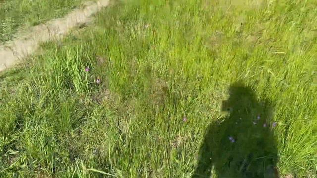 VLOG Мы на речке 😎☀️ Долго искали пляж 🤪 смотреть онлайн