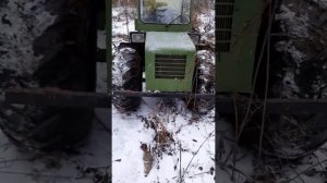 Тестируем каракат