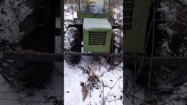 Тестируем каракат