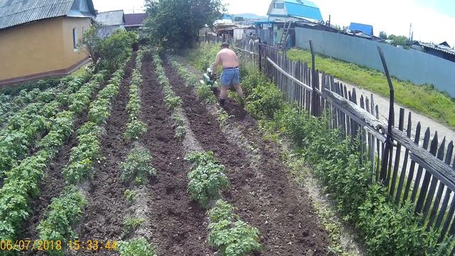 Междурядная обработка картофеля после 2-х недельных дождей смотреть онлайн