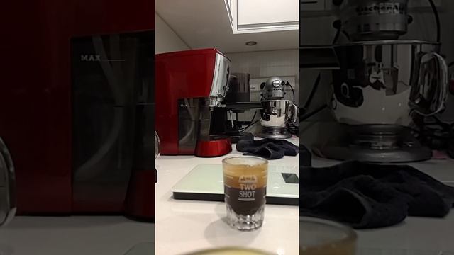 Gaggia Evolution Double Espresso смотреть онлайн