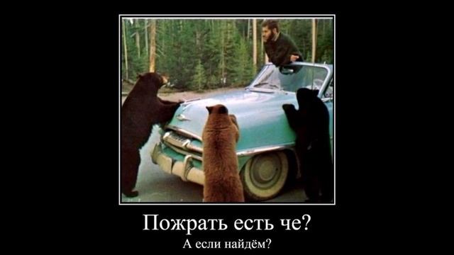 Ох уж эти забавные животные часть 4 смотреть онлайн