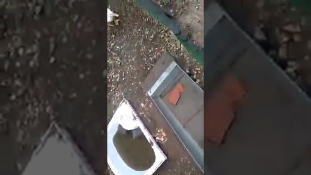 Кормление уток мешанкой. смотреть онлайн