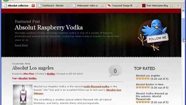 Wordpress online VIDEO course introduction by Alex Flom смотреть онлайн
