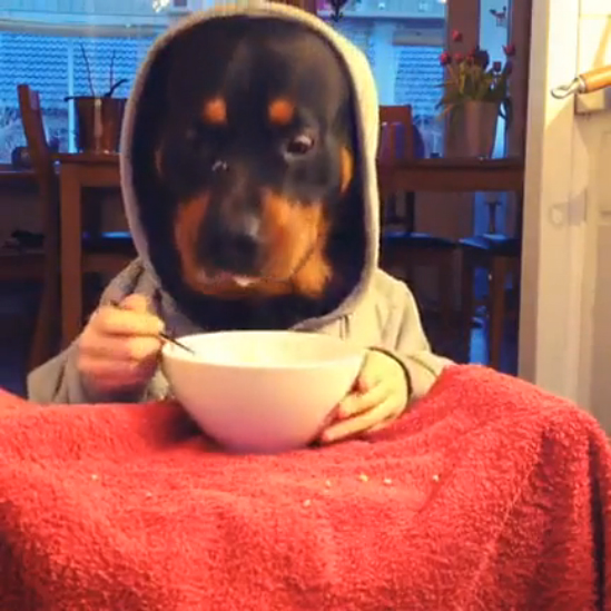 Вкусный завтрак смотреть онлайн