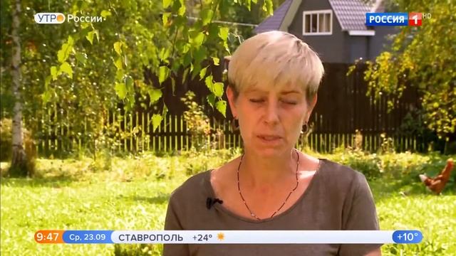 #питомникдогвилл Питомник "ДОГ ВИЛ*Л ПРАЙД" на центральном TV. смотреть онлайн