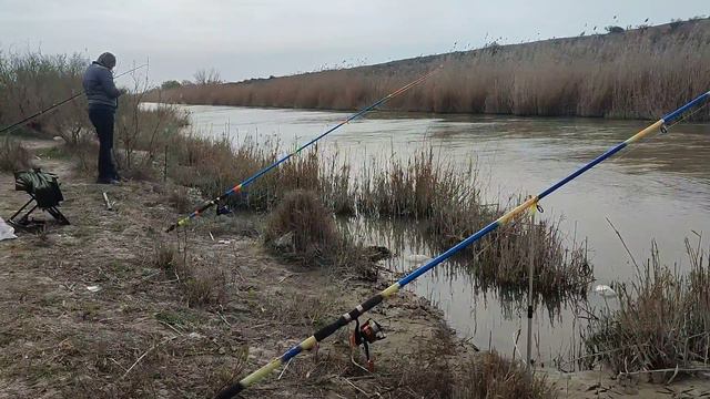 Рыбалка в марте на канале. Накормил собак и убрал мусор. #рыбалка #собака #fishing смотреть онлайн