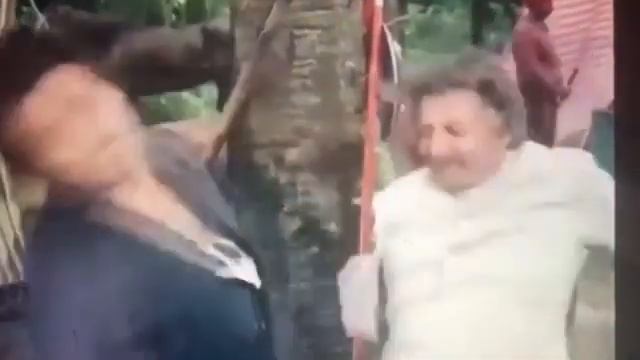 Цыганский перевод смотреть онлайн