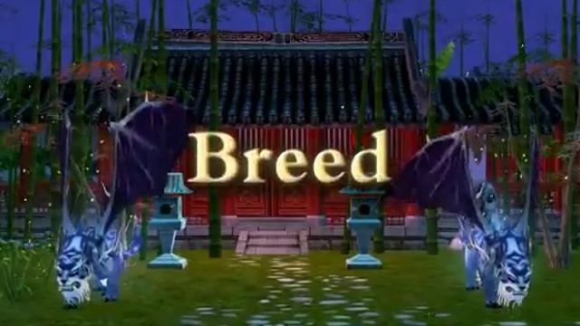 Dragon Oath Pets Show смотреть онлайн