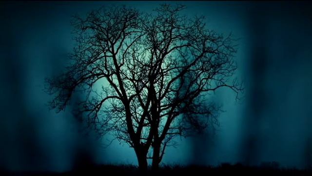 ASMR | (2) DON QUIXOTE by Miguel De Cervantes 1605 смотреть онлайн