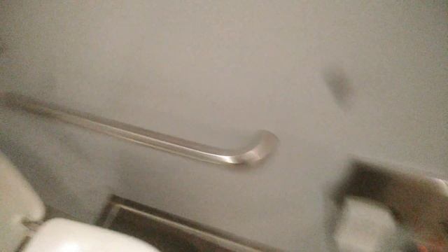 Обзор туалета в сапсане смотреть онлайн