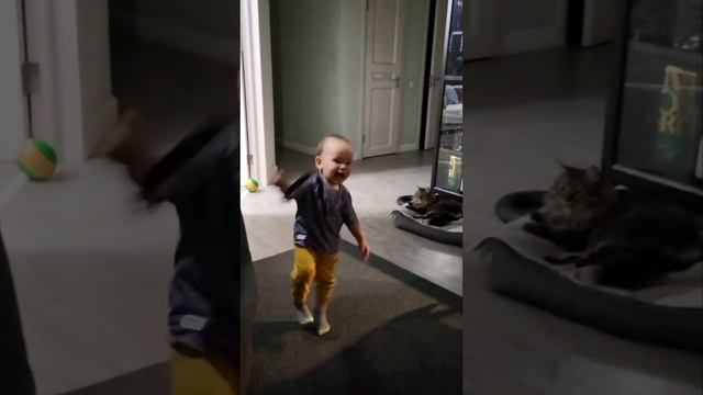 Я как Чак Норрис