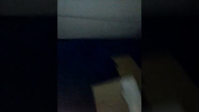 Hoverboard kurze Erklärung смотреть онлайн